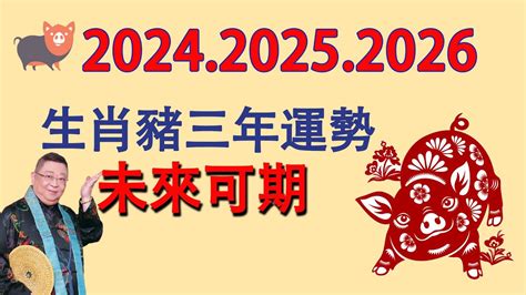 生肖豬運勢|2024屬豬幾歲、2024屬豬運勢、屬豬幸運色、財位、禁忌